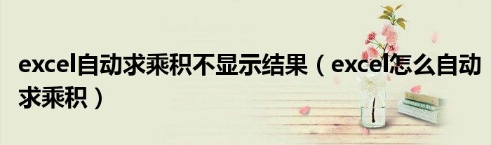 excel自动求乘积不显示结果（excel怎么自动求乘积）