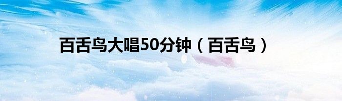 百舌鸟大唱50分钟（百舌鸟）