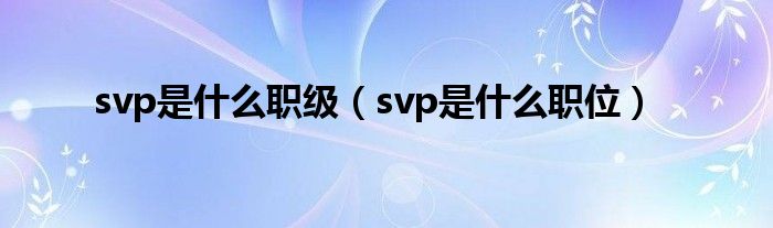 svp是什么职级（svp是什么职位）