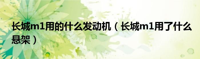 长城m1用的什么发动机（长城m1用了什么悬架）
