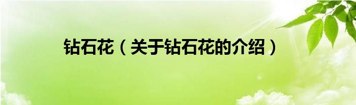 钻石花（关于钻石花的介绍）
