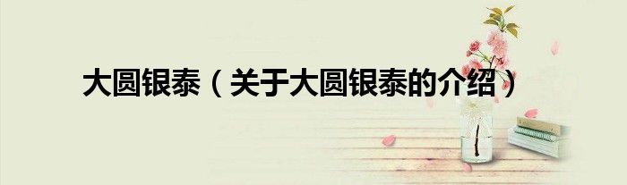 大圆银泰（关于大圆银泰的介绍）
