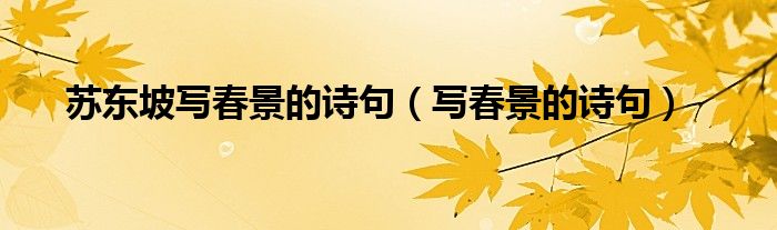 苏东坡写春景的诗句（写春景的诗句）