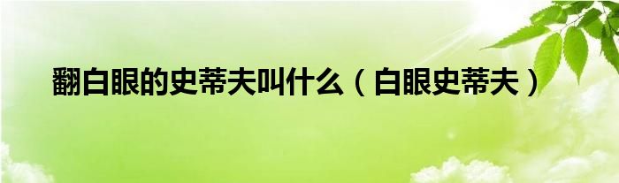 翻白眼的史蒂夫叫什么（白眼史蒂夫）