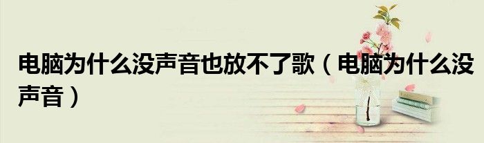 电脑为什么没声音也放不了歌（电脑为什么没声音）