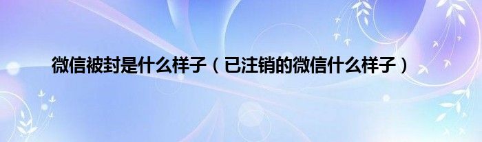 微信被封是什么样子（已注销的微信什么样子）