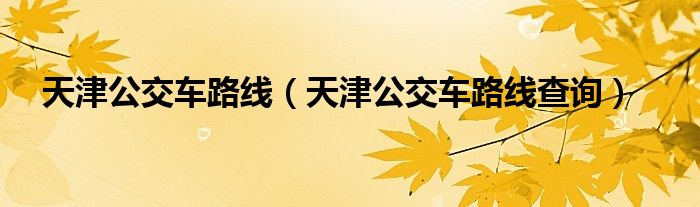 天津公交车路线（天津公交车路线查询）