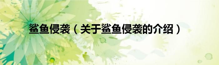 鲨鱼侵袭（关于鲨鱼侵袭的介绍）
