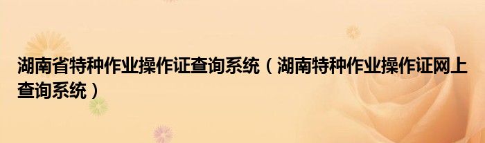 湖南省特种作业操作证查询系统（湖南特种作业操作证网上查询系统）