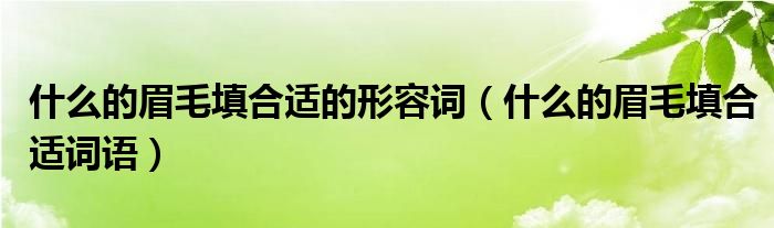 什么的眉毛填合适的形容词（什么的眉毛填合适词语）
