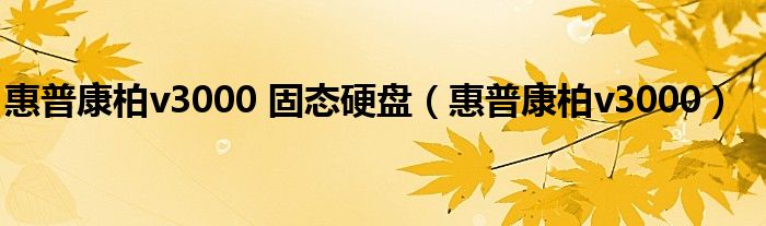 惠普康柏v3000 固态硬盘（惠普康柏v3000）