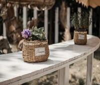 兔皮怎么处理才能用