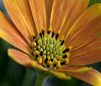 微信收藏怎么设置隐私