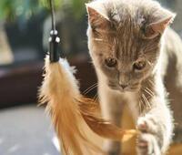 苹果平板如何恢复出厂设置方法